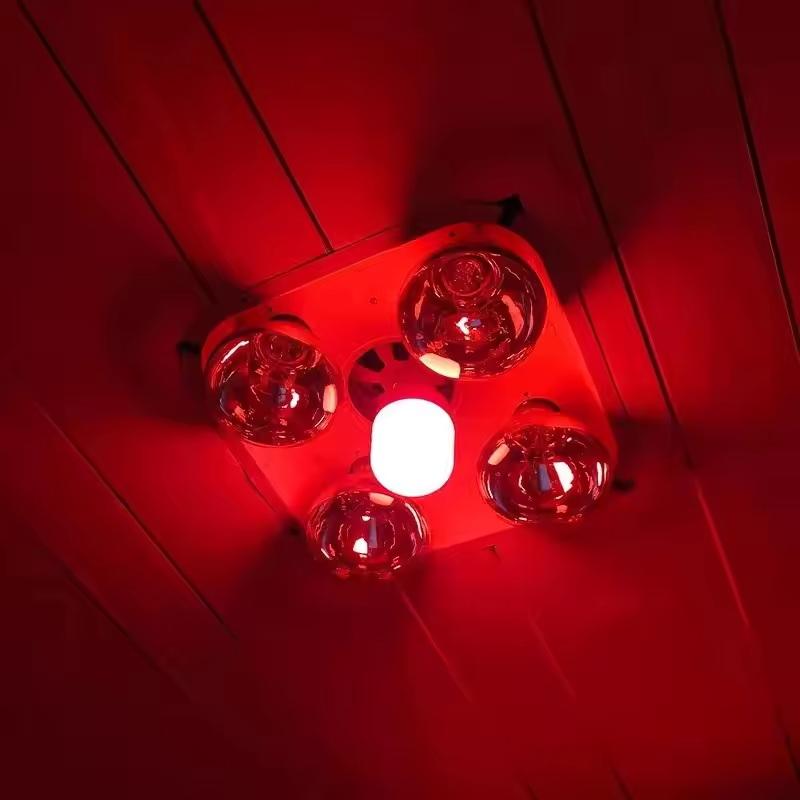 New High Power Red LED Light B - Lighting Christmas Decor 评论和价格